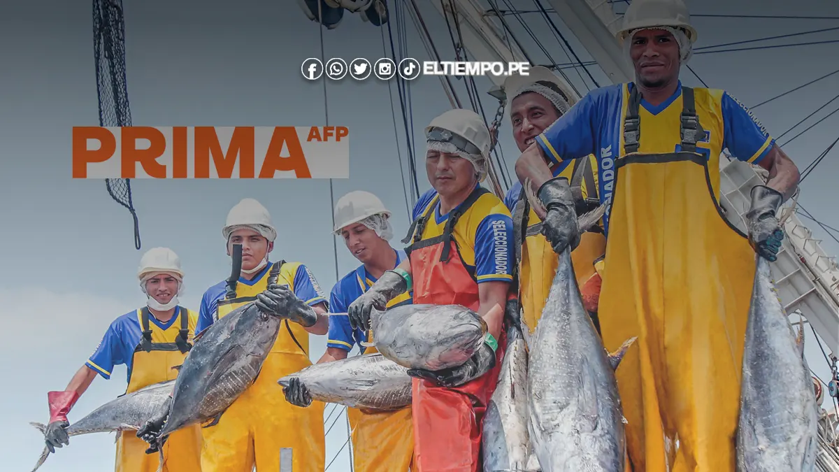 AFP Prima trabajadores pesqueros: Esto es lo que debes saber