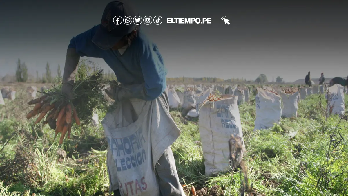 Agricultores piuranos exigen ayuda al Ejecutivo