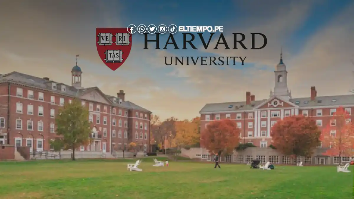 Becas Universidad de Harvard 2024: Cómo postular y tener certificado gratis