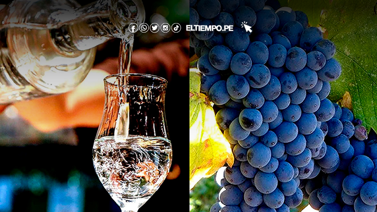 Descubre-la-Ruta-del-Pisco-en-Ica-Tradicion-Vitivinicola-y-Gastronomia