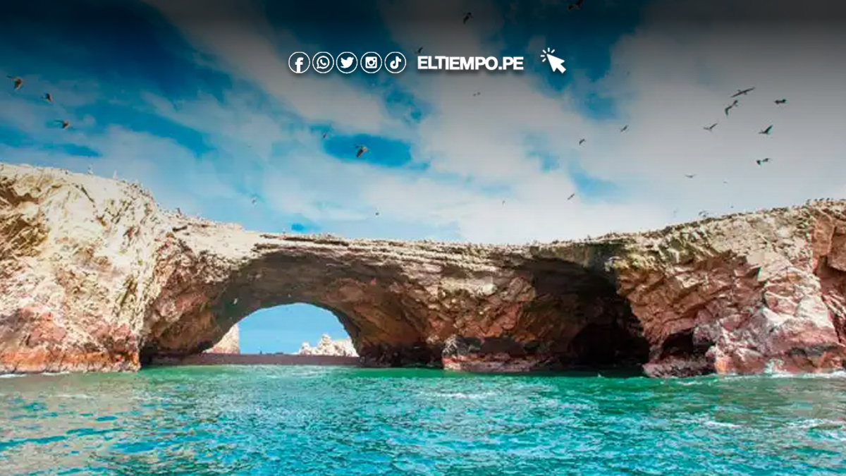 Maravillate-con-las-Islas-Ballestas-Santuario-de-Vida-Silvestre-en-la-Costa-Peruana