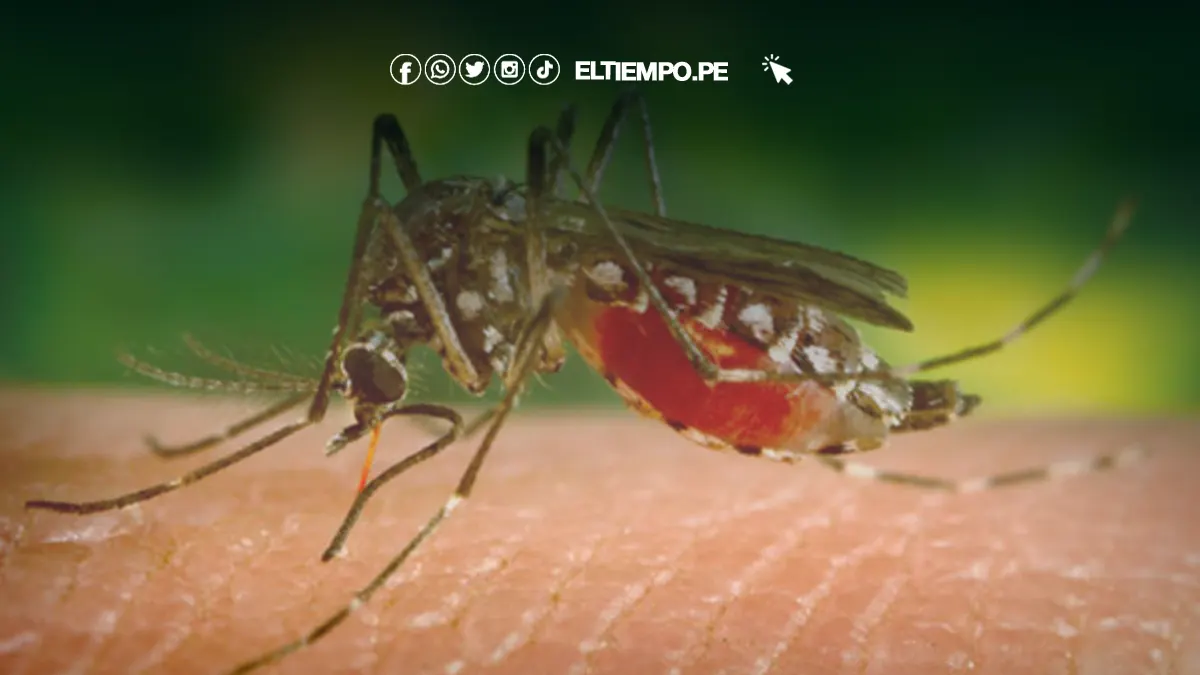 Ministro promete transferencia de S/19 millones para esta semana