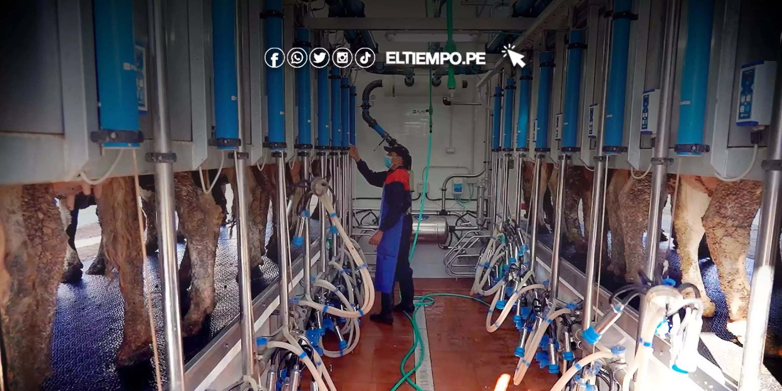 Peru-inauguran-sala-de-ordeno-para-apoyar-a-los-pequenos-agricultores-scaled