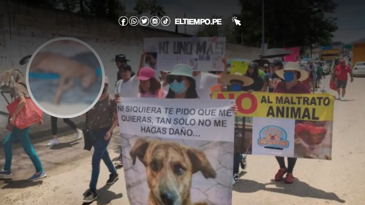 Planton-por-Caso-Luna-