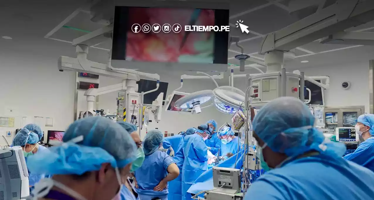 Trasplante-de-rinon-de-cerdo-muere-el-primer-paciente-que-paso-por-este-procedimiento