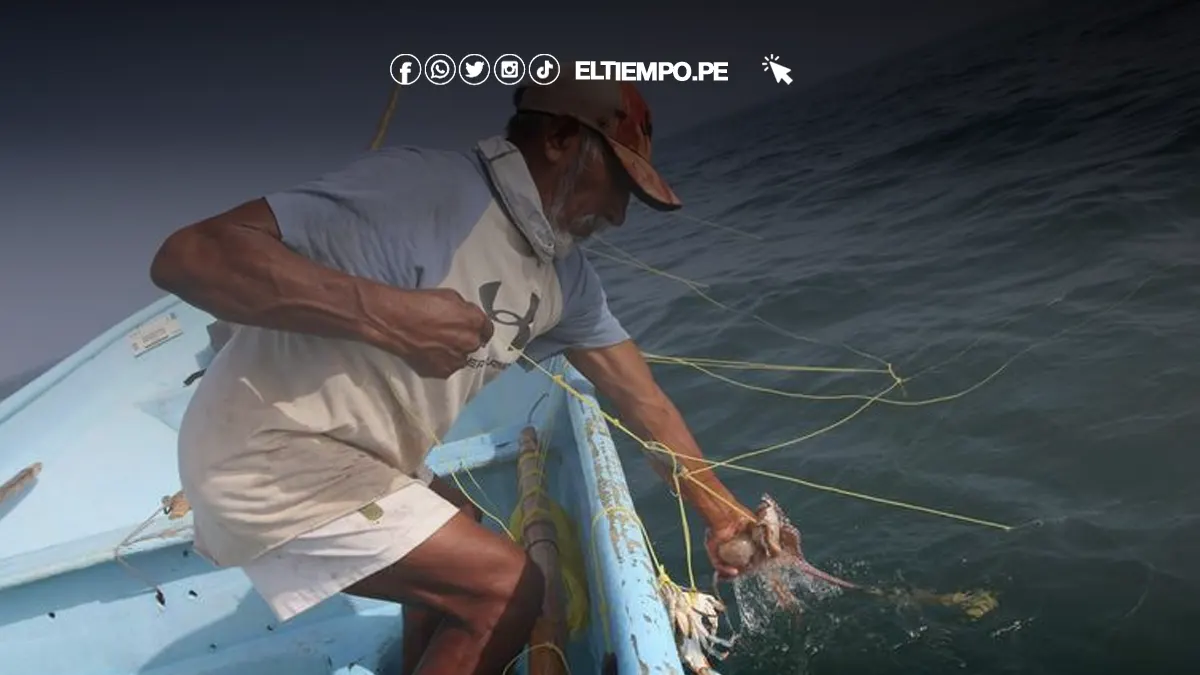 ÚLTIMO MINUTO ONP 2024: link para solicitar Transferencia Directa al Expescador