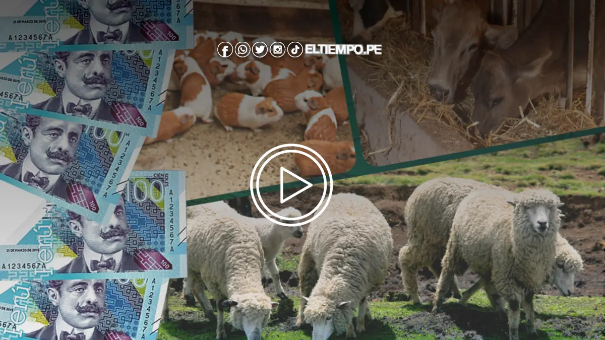 credito-pecuario-2024