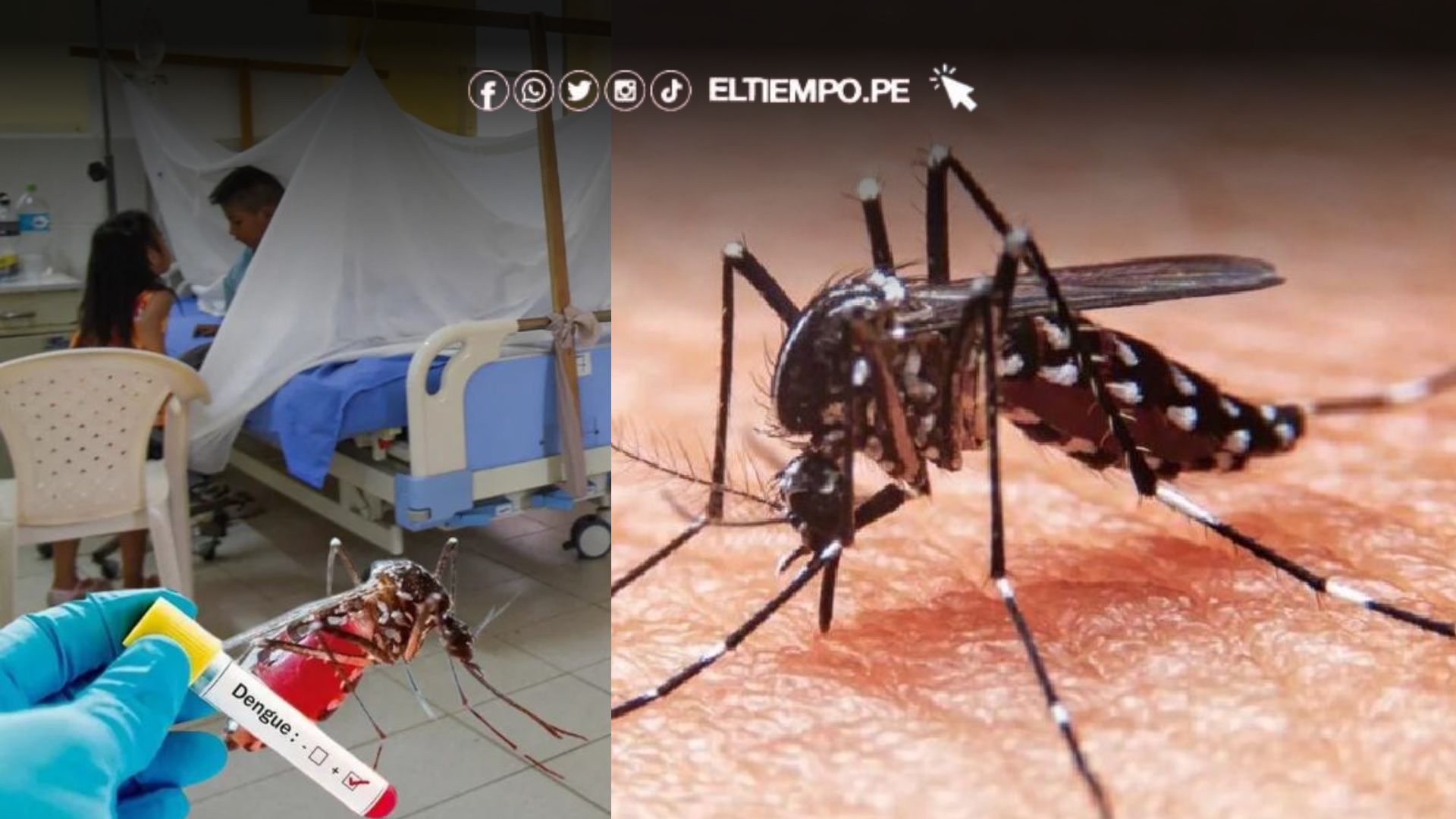 Destinarán más de S/ 56 millones para combatir el dengue en diversas regiones