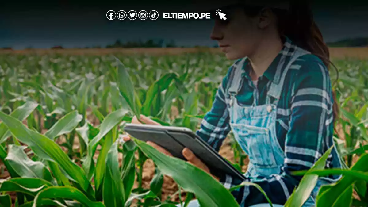 emprendedores-agricultura