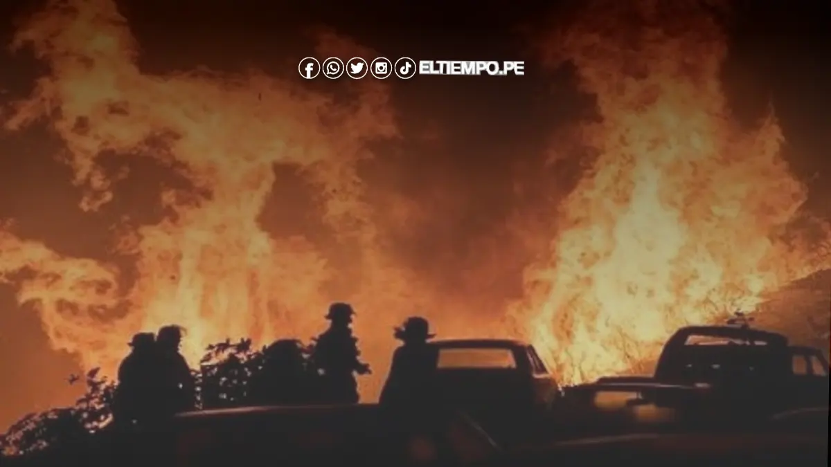 incendio-forestal-en-chile-et