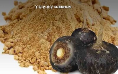 10 beneficios de la maca negra y cómo prepararla
