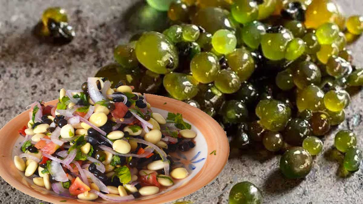 10-beneficios-del-cushuro