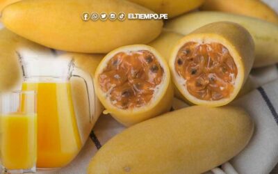 10 beneficios del tumbo peruano: para qué sirve y cómo se consume