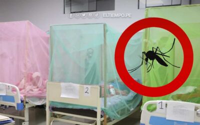 10 medidas para prevenir el dengue 2023, ¿cómo detectarlo?