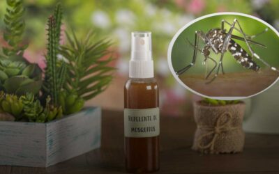 3 repelentes caseros para zancudos: conoce cómo prepararlo
