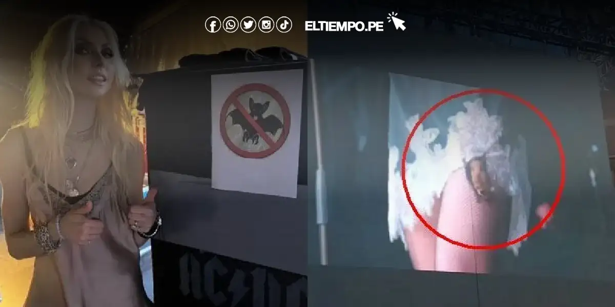 Artista es atacada por murciélago en pleno concierto de AC/DC en Sevilla Artista es atacada por murciélago en pleno concierto de AC/DC en Sevilla