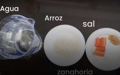 Conoce la receta de la panetela para combatir al dengue