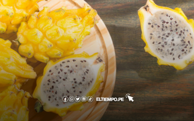 5 beneficios de la pitahaya amarilla y qué propiedades tiene