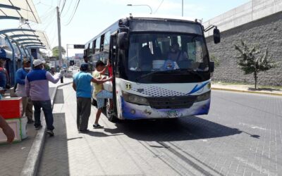 Elecciones 2021: Transporte público en Piura funcionará con normalidad el domingo 11 de abril