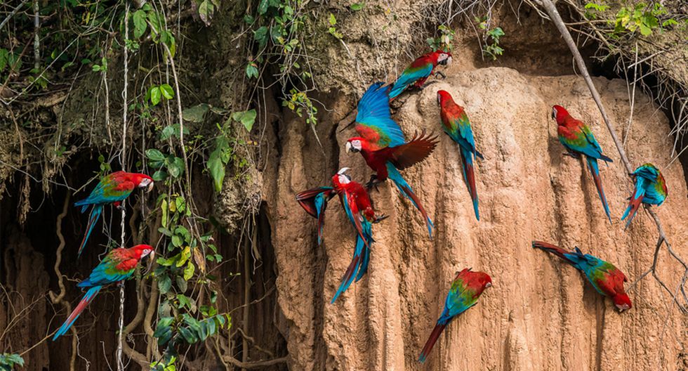 AWMS6U7AD5DVRC3FV4RLZIJ6T4