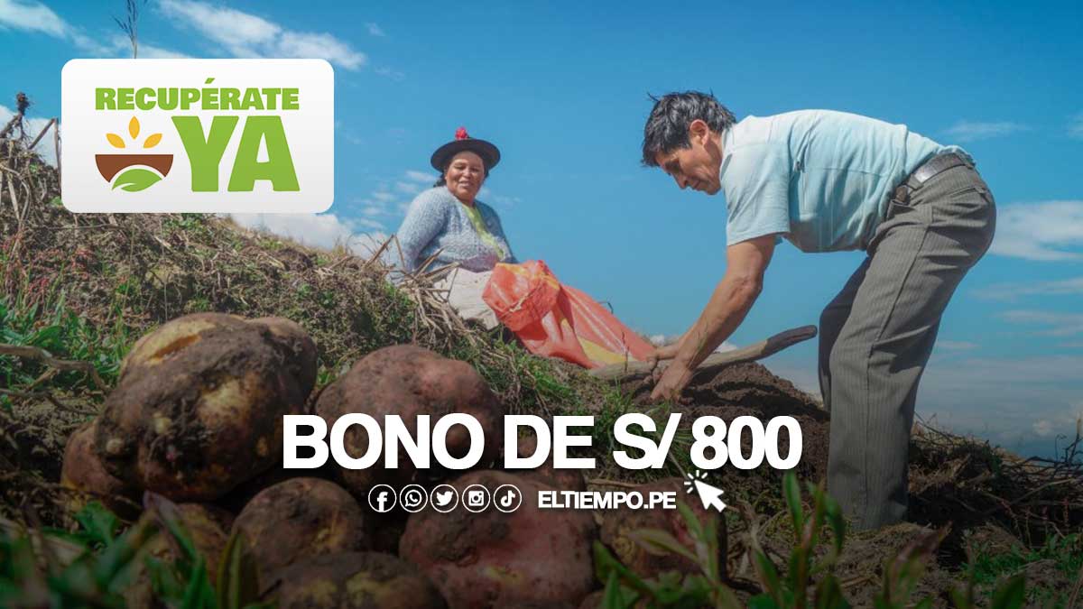 BONO-DE-800-SOLES-MIDAGRI
