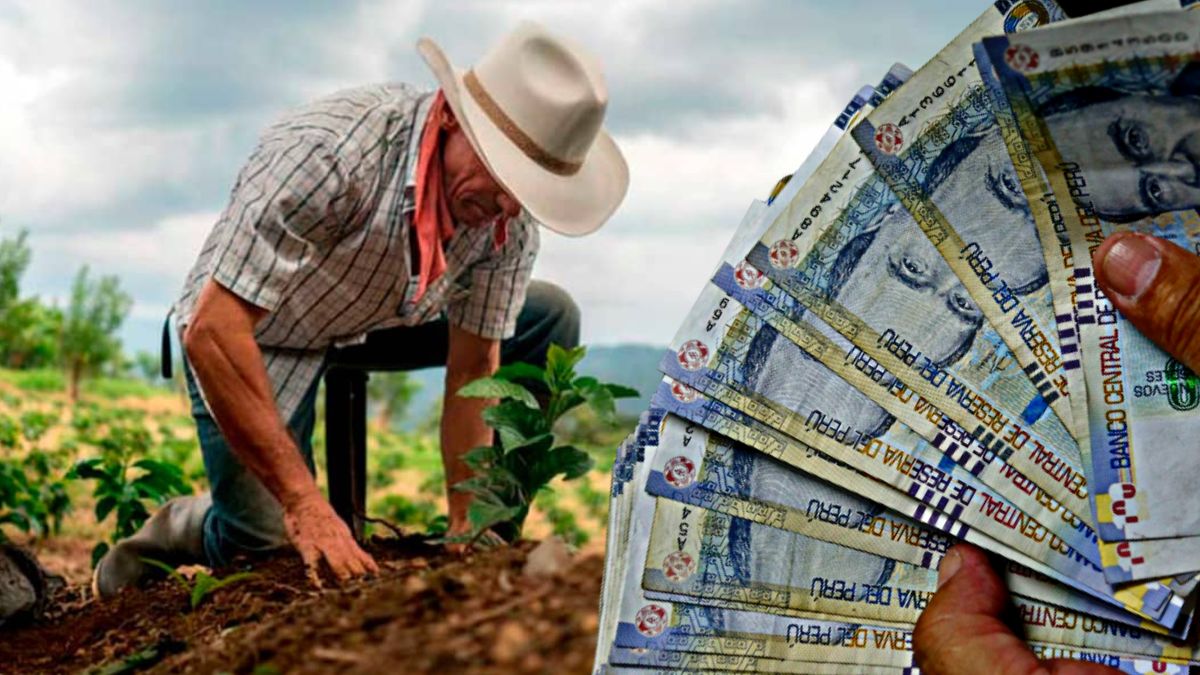 xr:d:DAFDx3xi1tw:1005,j:38246460982,t:22101716