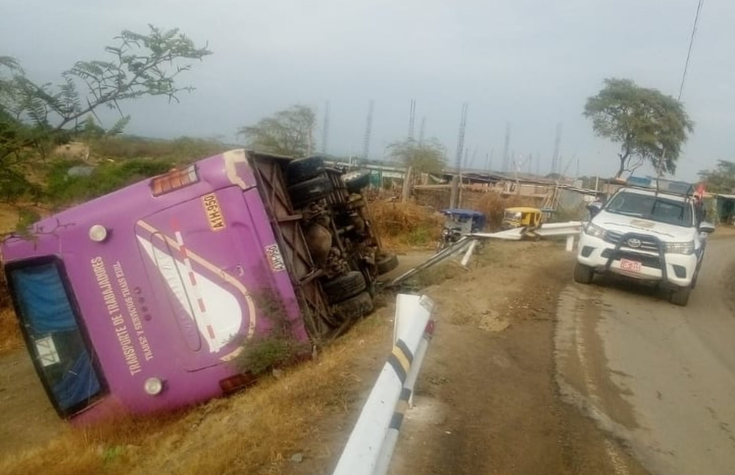 BeFunky-collage-2021-07-18T102350.904