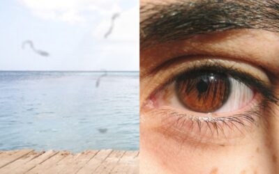 Miodesopsias: ¿Por qué veo manchas negras o flotantes?