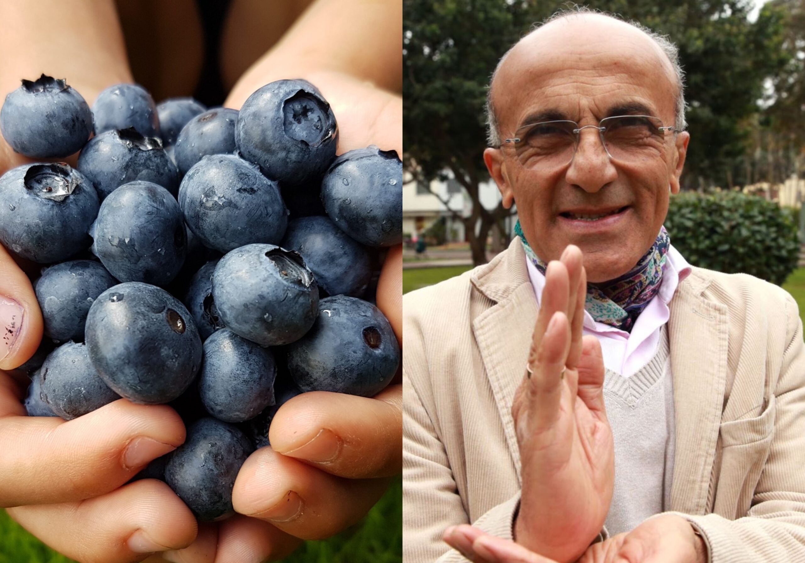 BeFunky-collage-2021-09-08T131149.261