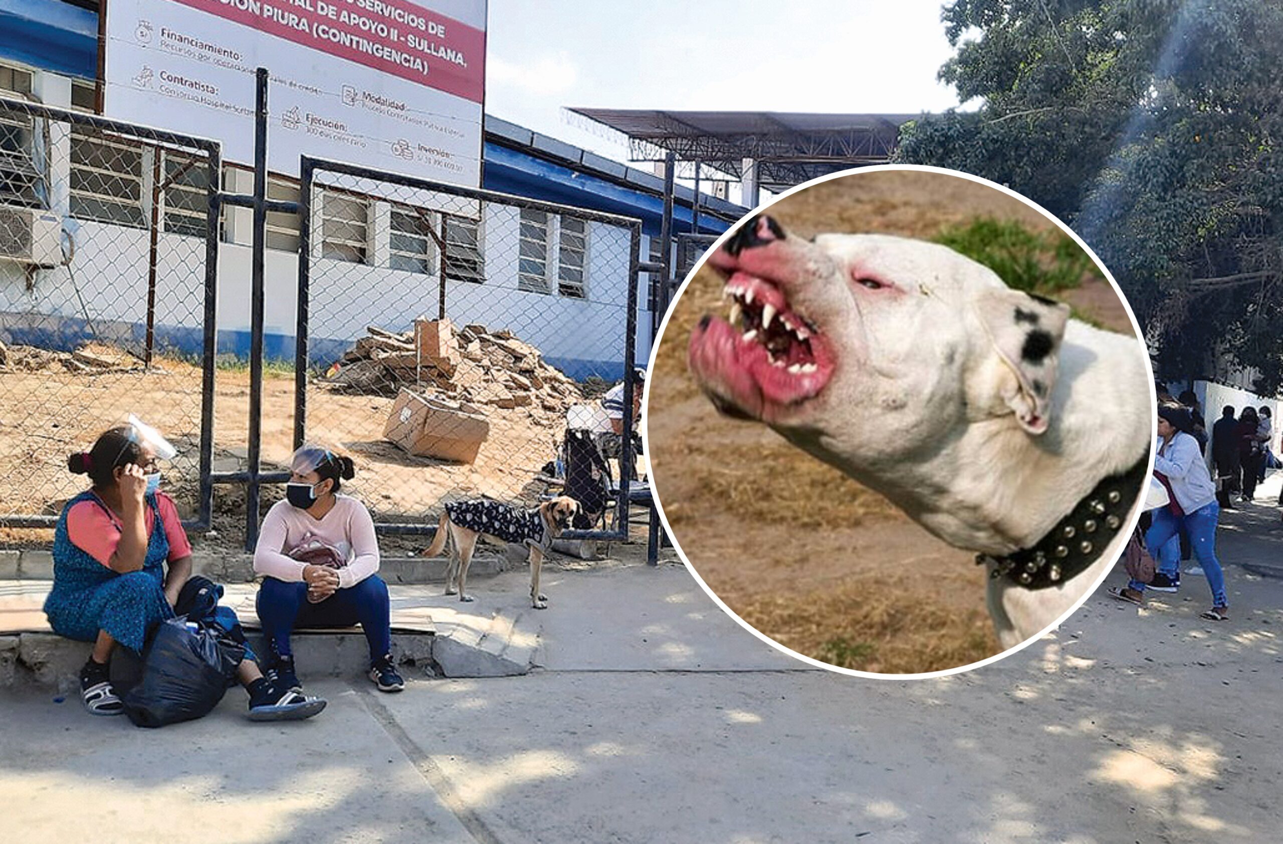 BeFunky-collage-2021-09-27T170022.700