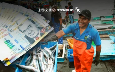Bono Pescador artesanal de 700 soles 2024: Dina Boluarte anuncia nuevo subsidio para 47 mil trabajadores