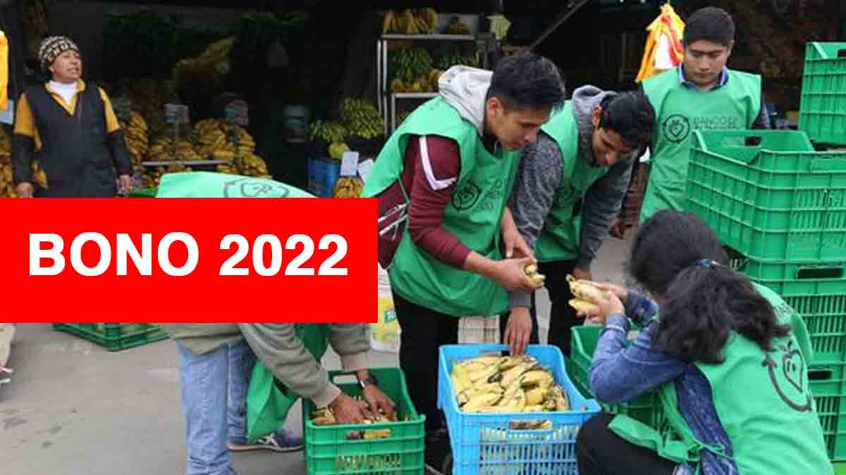 Bono-alimentario-2022