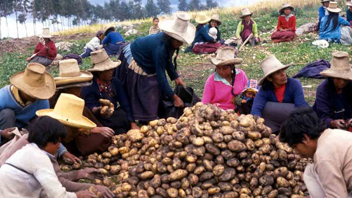 Bono-alimentario-beneficiarios