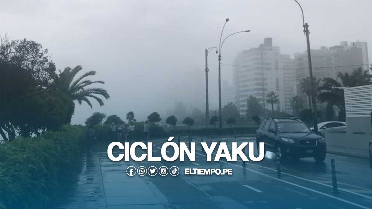 CICLON-YAKU-1
