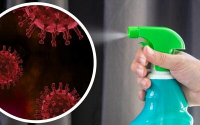 Citriodiol, un producto usado en repelentes para insectos, puede neutralizar el coronavirus, según estudio