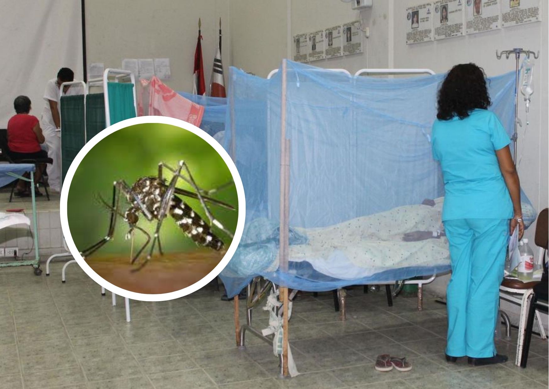 Copia-de-Diseno-sin-nombre-2022-05-05T163700.894