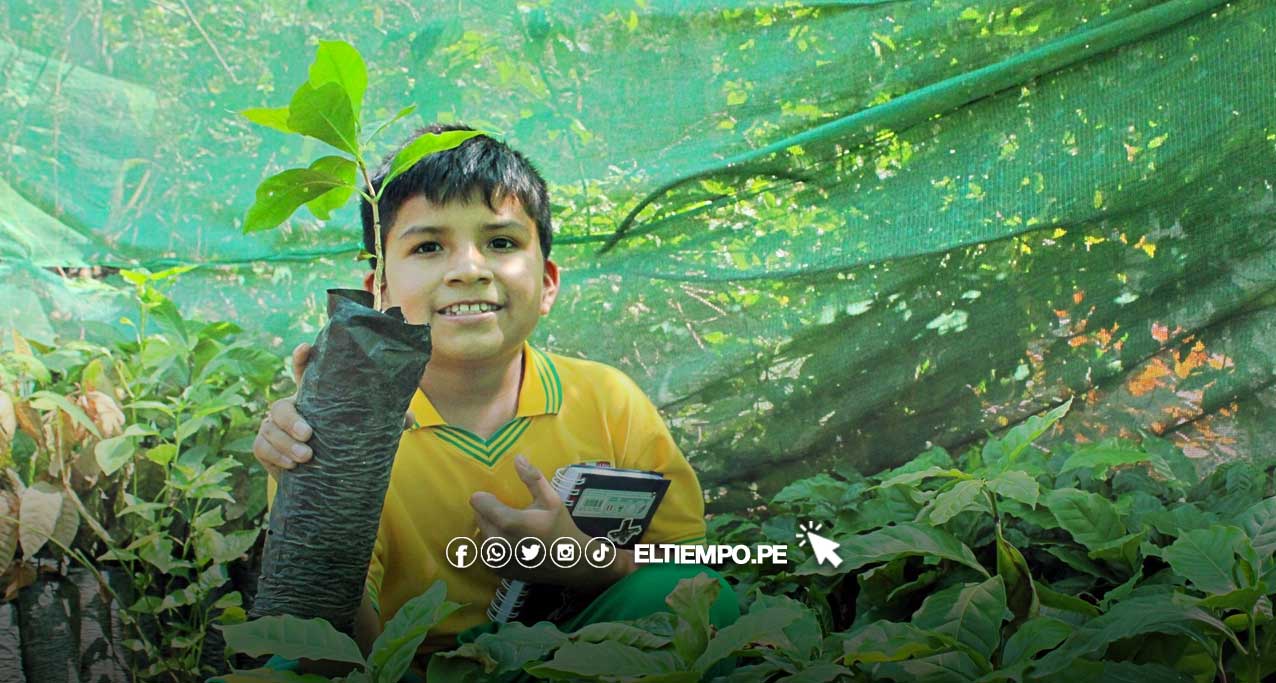 ESCOLAR-IMPULSA-HUERTOS-FAMILIARES