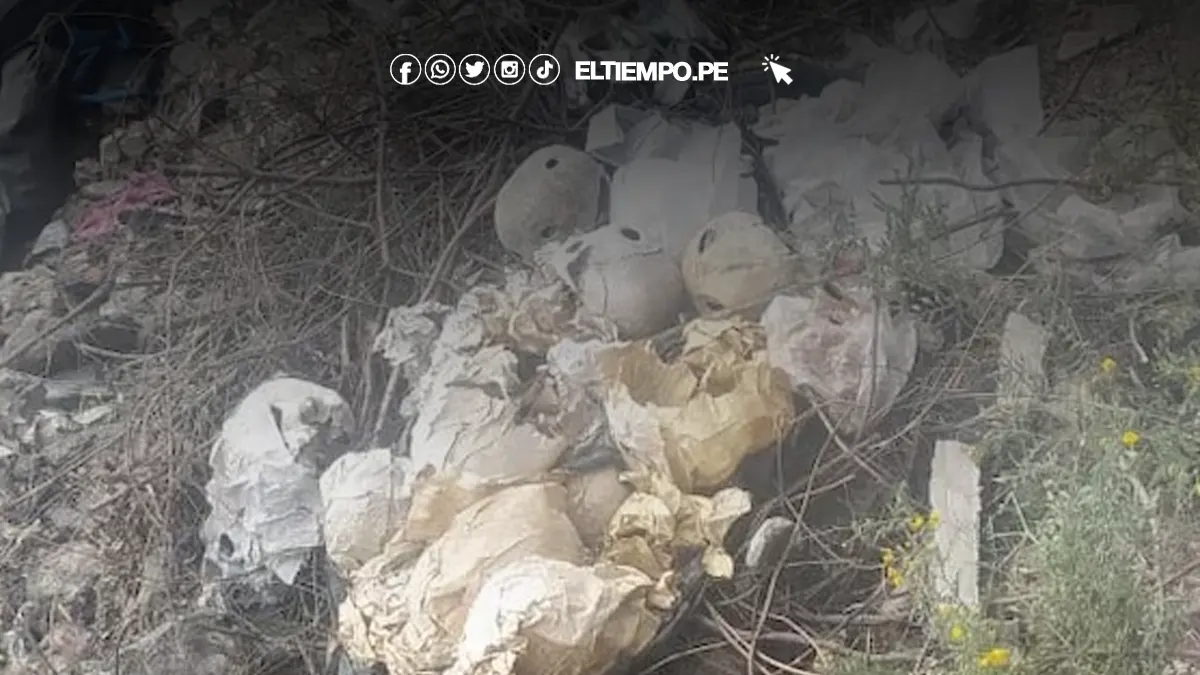 Encuentran creaneo en Arequipa