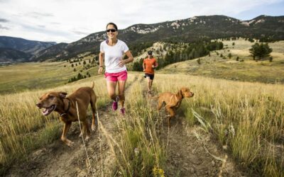 Los perros reducen los riesgos cardiovasculares de sus dueños, según expertos