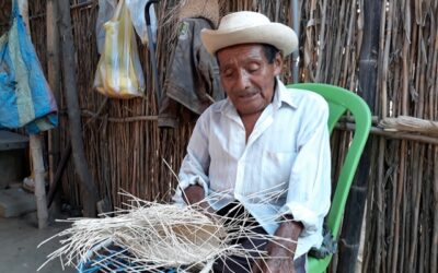 Declaran personalidad meritoria a don Manuel Juárez, último tejedor de paja toquilla