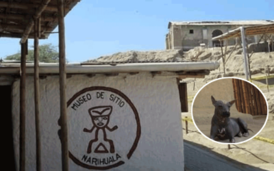 Museo de Sitio Narihualá amplía horario de atención al público