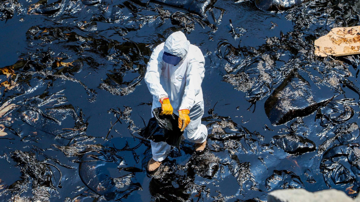 NUEVAS-PLANTILLAS-2022-08-23T184546.602