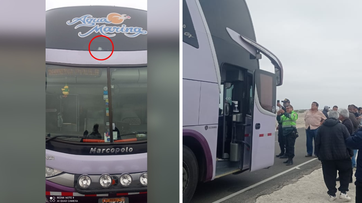 NUEVAS-PLANTILLAS-2022-08-29T135503.347