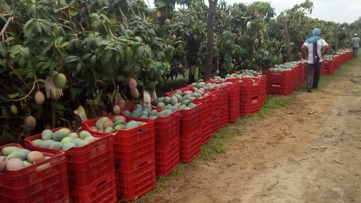 xr:d:DAFDx58EBLw:1271,j:36285797002,t:22092523