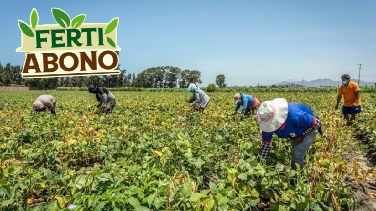 NUEVAS-PLANTILLAS-2022-10-24T115714.655