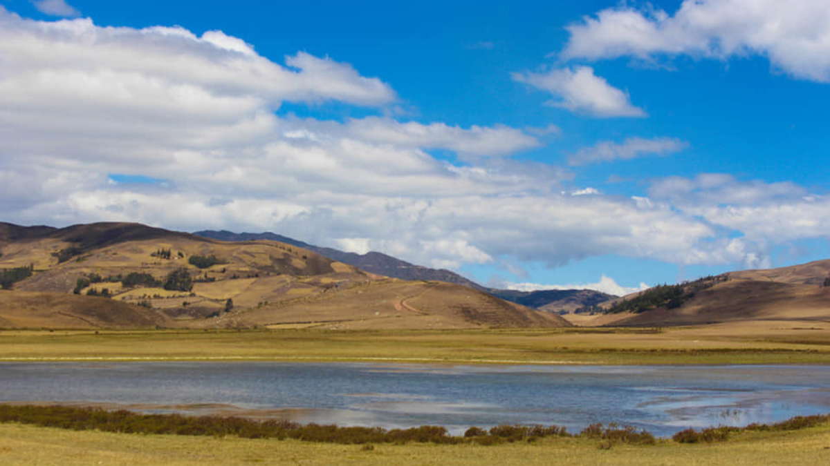 NUEVAS-PLANTILLAS-25-1