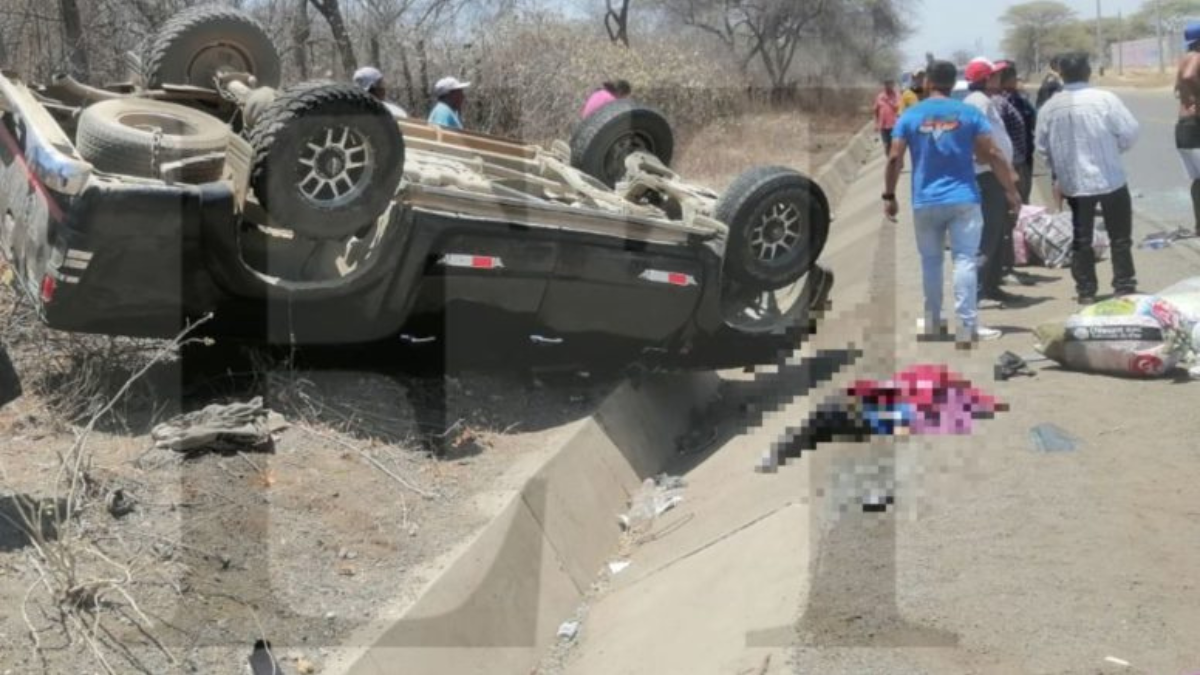 NUEVAS-PLANTILLAS-53