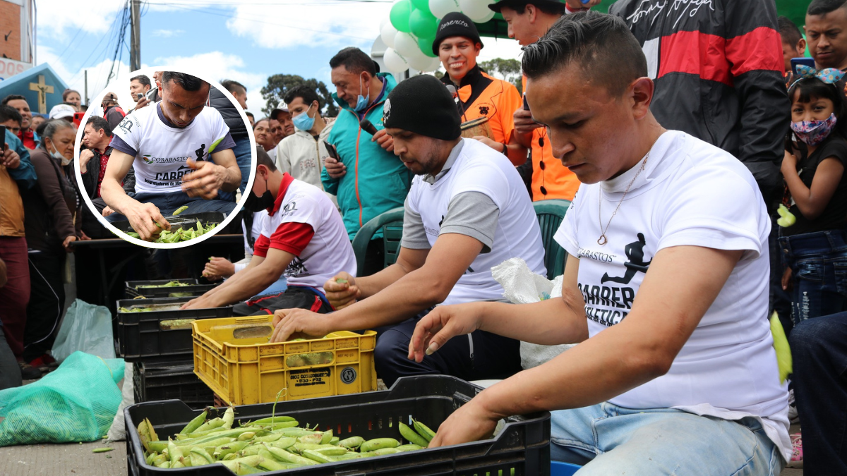 NUEVAS-PLANTILLAS-79