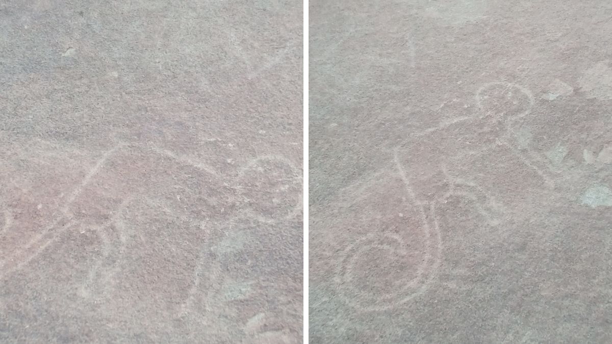 xr:d:DAFDx58EBLw:743,j:33394749233,t:22082121