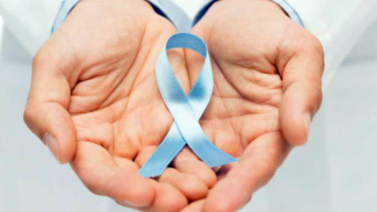 NUEVAS-PLANTILLAS-88